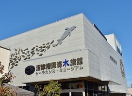 Numazu Deep Sea Aquarium