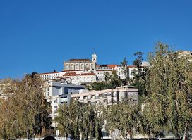 Mondego's Verde Park