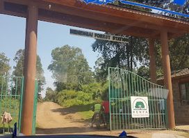 Kenya Forest Service Station