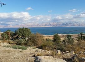 Ein Gedi Botanical Garden