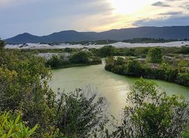 Dunes of Joaquina