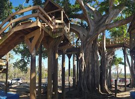 Banyan Treehouse