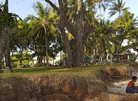 Mombasa Marine Park & Reserve