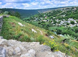 Trebujeni Viewpoint
