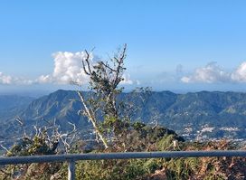 Cordillera Central