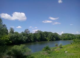 Gornje Podunavlje