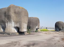 Olifanten van Almere
