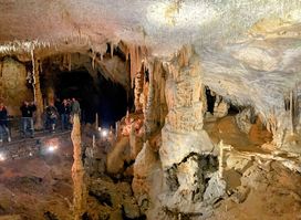 Postojna Cave Tiimncket Store