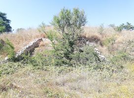 The Great Tumulus