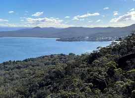 Coles Bay Lookout