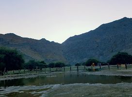 Al Khalidiya Acacia Forest & Children's Park
