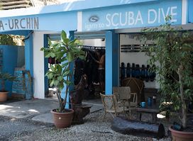 SeaUrchin Diving Center