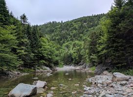 Wolfe River Gorge - UNESCO Fundy Biosphere Reserve