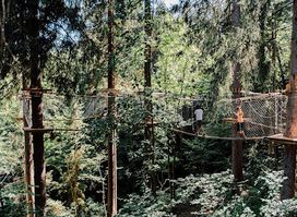 Tree parcours 1