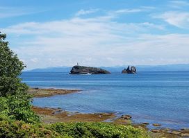 Taijima