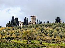 Castello Vicchiomaggio