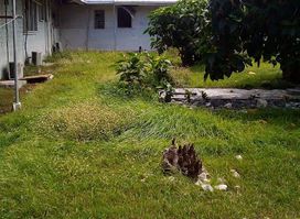 London Kiritimati Hospital