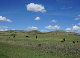 Grasslands National Park East Block