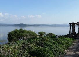 Amora Gedel Park