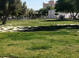 Andalous And Rigai Park