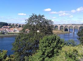 Royal Tweed Bridge