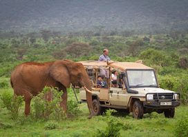 Samburu Trails | Samburu National Reserve