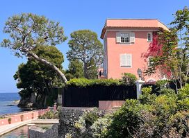 Place David Niven