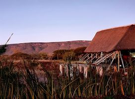 KaMsholo Bushveld Safaris