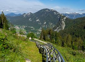 Alpine Coaster