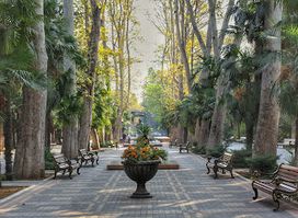 Xan Bağı