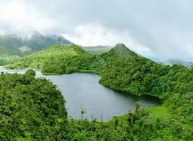 Freshwater Lake Trail