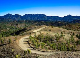 Razorback Lookout