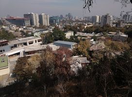 La Chascona