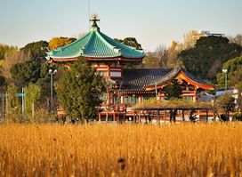 Shinobazu Pond