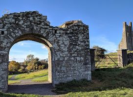 St. Mary's Abbey, Trim