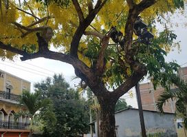 Monumento A La Madre Park