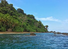 Caño Island Biological Reserves