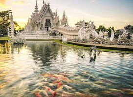 Phuket Dream Company