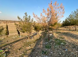 Anfal Monument