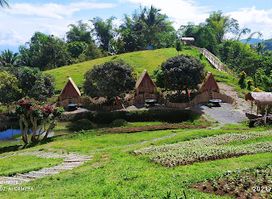 Emilio's Kawa and Flower Garden