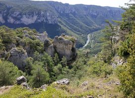 Cévennes