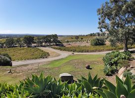Barossa Red Vintage Tours