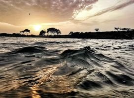 Piece Of Uganda Safaris