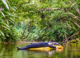 Adventures Port Douglas