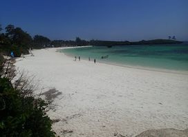 Watamu Marine Association