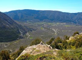 Pico Presín