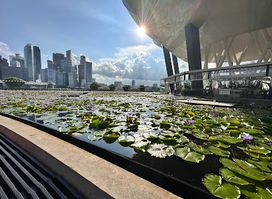 ArtScience Museum
