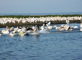 African Landmark Safaris
