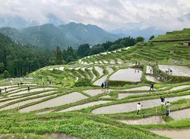 Maruyama Senmaida