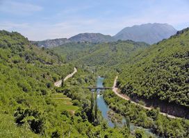 Pavića most